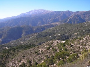 Looking north at the Sierra de Cómpeta   